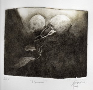Limoni